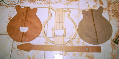 doron3